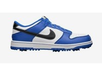 nike men's dunk ng golf shoes